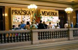 2006/2008 Pražská veverka